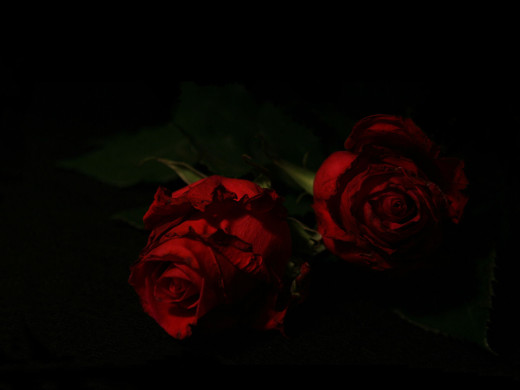 531038 (a): :1600x1200